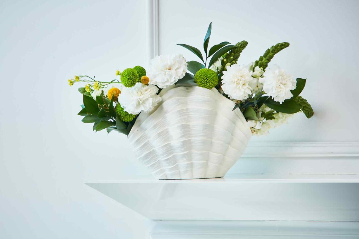 Vaso Coquille